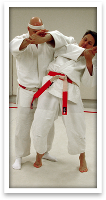 Aikido technique demonstration
