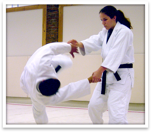 Aikido wheel diagram
