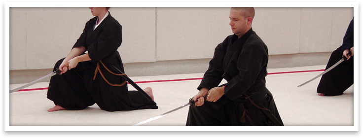 Iaido at Windsong Dojo