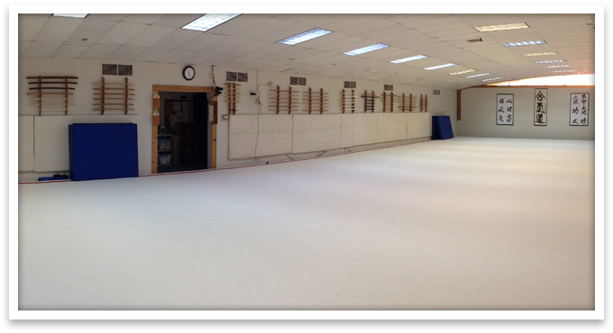 Training at Windsong Dojo