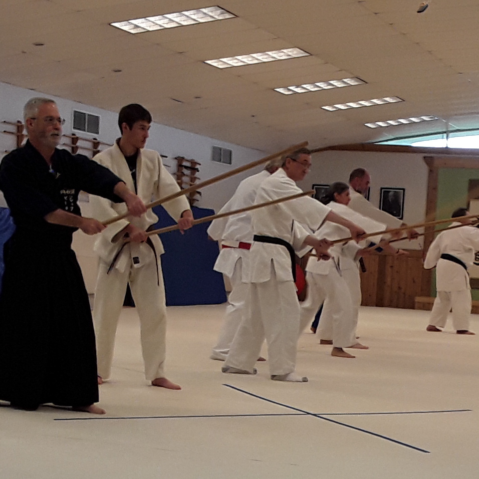 Jodo at Windsong Dojo