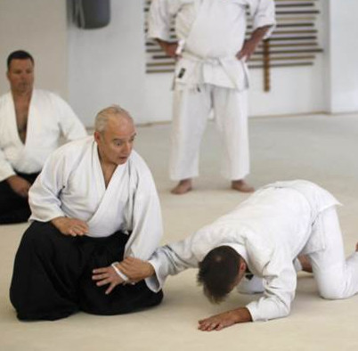 Roy Goldberg Daito Ryu Seminar