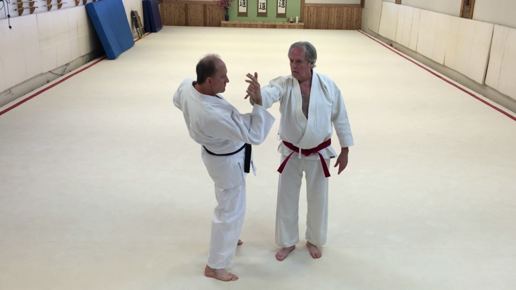 Aikido Release Chains