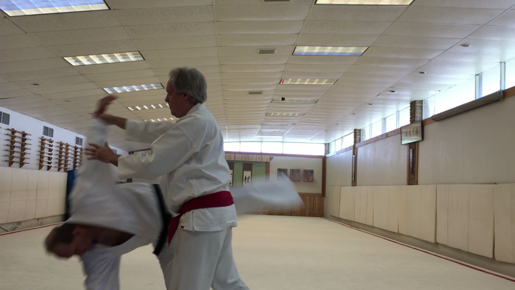 Aikido and Energy Flow