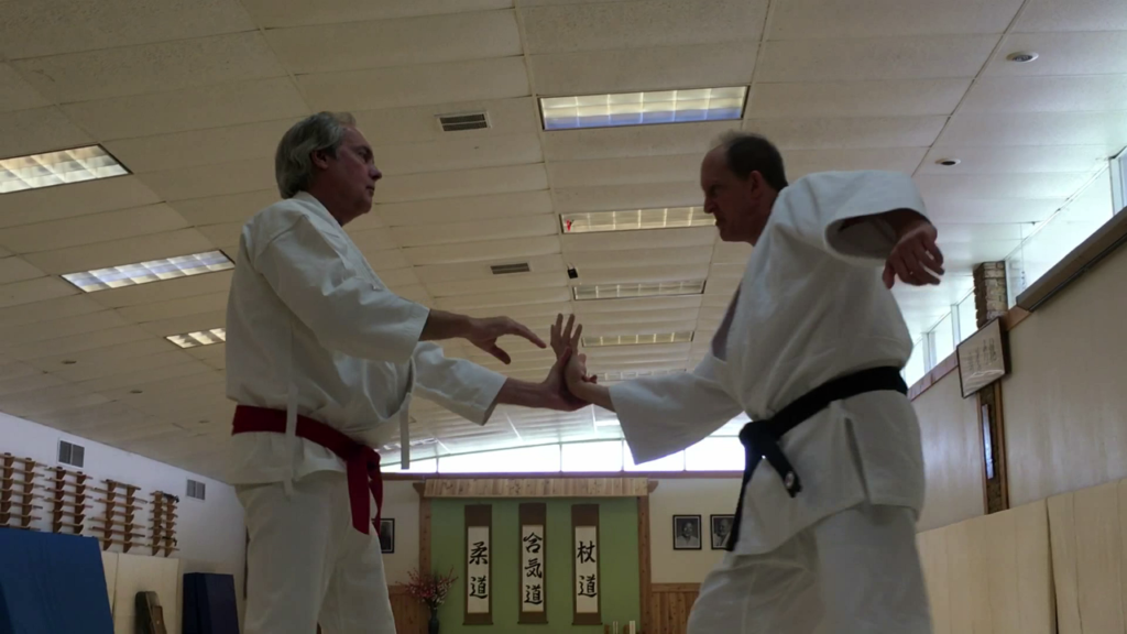 Shodan to Sensei: An Aikido Story