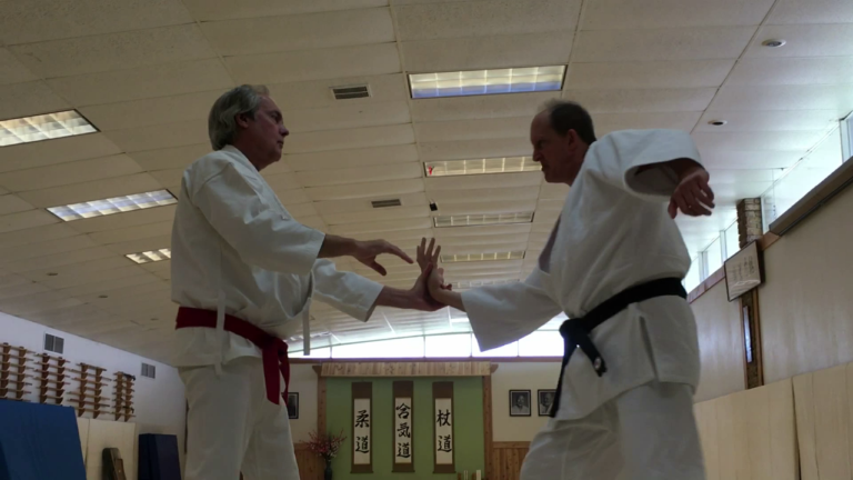 Shodan to Sensei: An Aikido Story