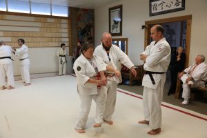 Windsong Dojo Fall Clinic