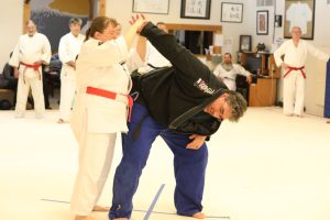 Windsong Dojo Fall Clinic