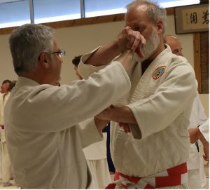 Windsong Dojo Fall Clinic