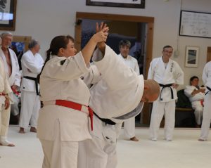 Windsong Dojo Fall Clinic